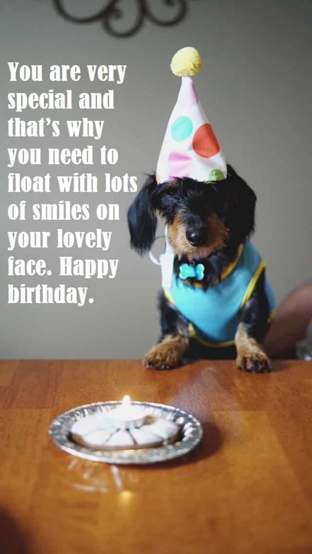 dog-saying-happy-birthday-message
