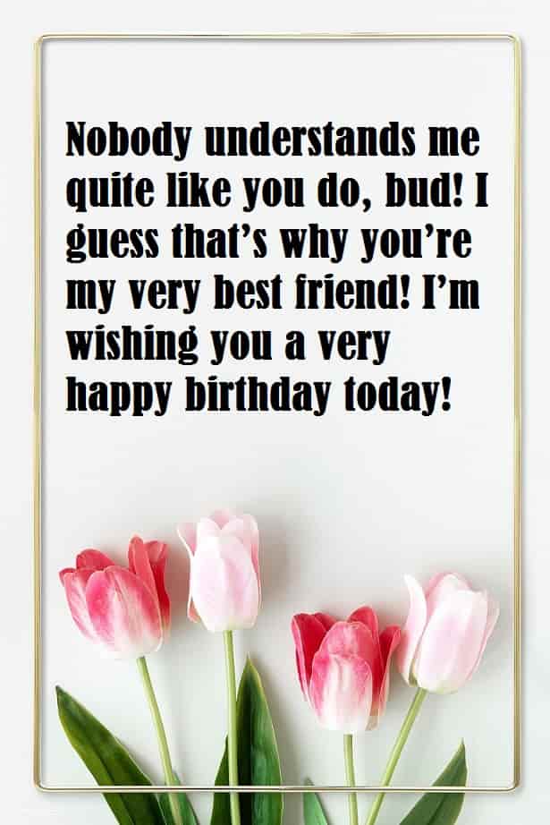pink-and-white-tulip-flower-with-birthday-messages