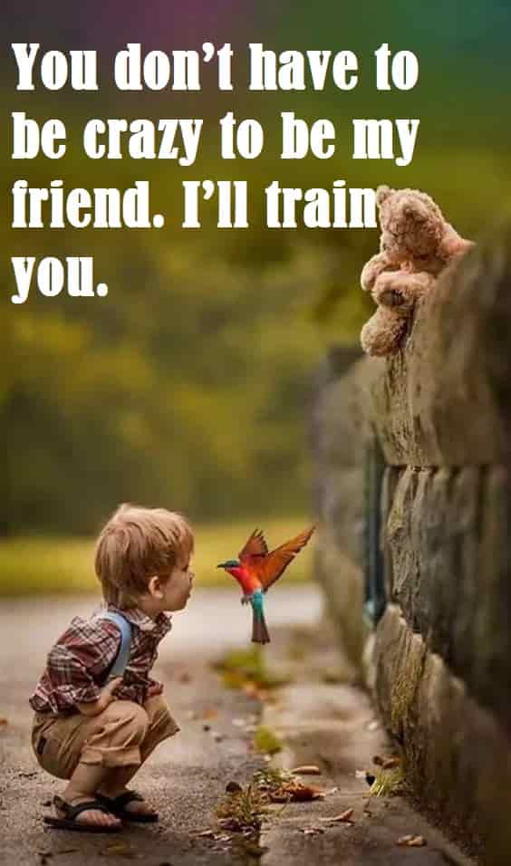 Funny Quotes on Friendship | Funny Quotes in Hindi