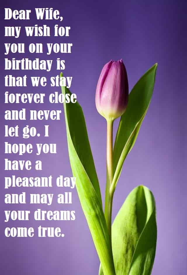 birthday-wishes-for-wife-and-tulip-flower